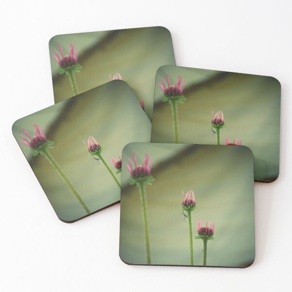 Item preview, Unveiling Frailty, Yet Dying Indefinitely designed and sold by Melanie Uadjit.