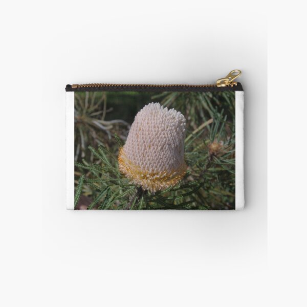 Artikelvorschau, Acorn Banksia entworfen und verkauft von lezvee.