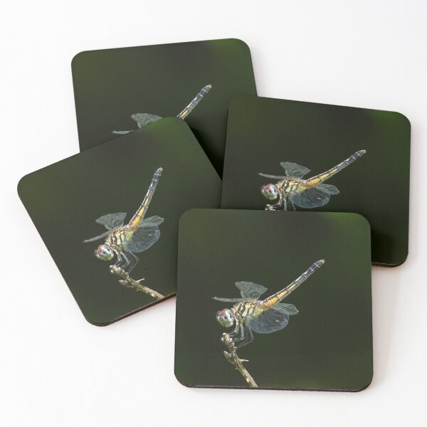 Item preview, Female Blue Dasher Dragonfly designed and sold by Brad Chambers.