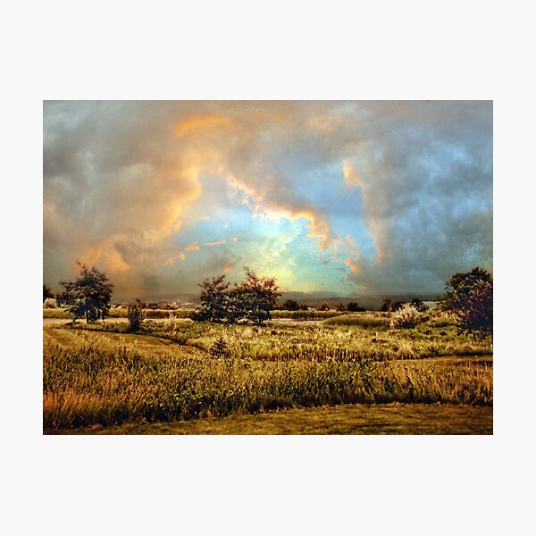 Item preview, Pastoral designed and sold by Jessica Jenney.