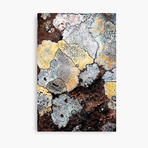 Item preview, Lichen designed and sold by Smaxi.