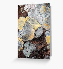 Lichen Greeting Card