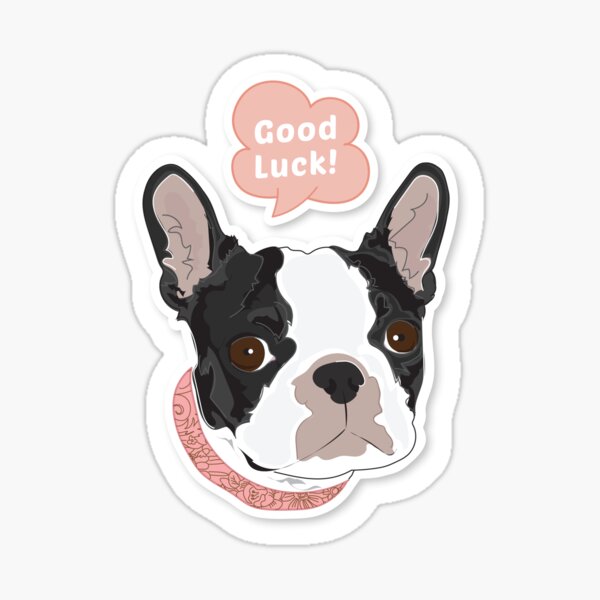 Cutie Canine Boston "Good Luck" Sticker