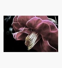 Fractalicious Camellia Photographic Print