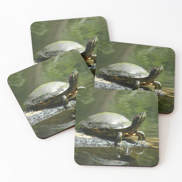 Item preview, Sunning Turtle  designed and sold by Judith Hayes.