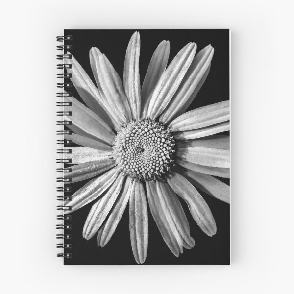 Item preview, Dinged - BW designed and sold by Matti Ollikainen.