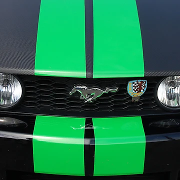 Artwork thumbnail, Mustang by Rees Adams