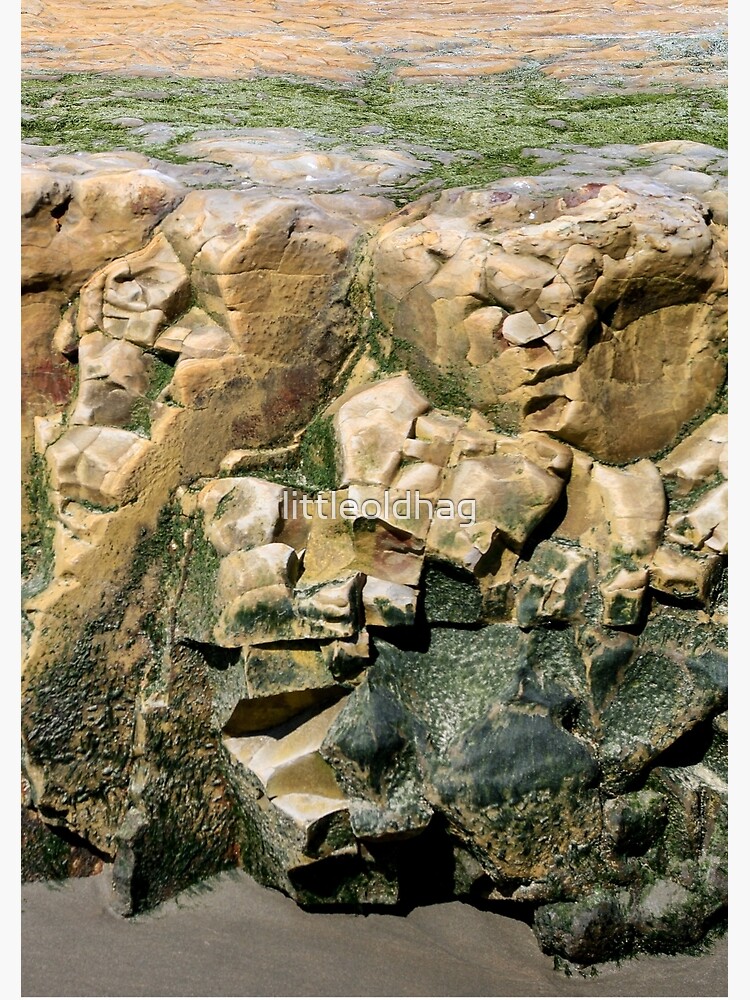 Thumbnail 3 of 3, Journal, A Rock for Picasso designed and sold by littleoldhag.