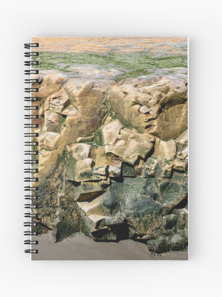 Thumbnail 1 of 3, Journal, A Rock for Picasso designed and sold by littleoldhag.