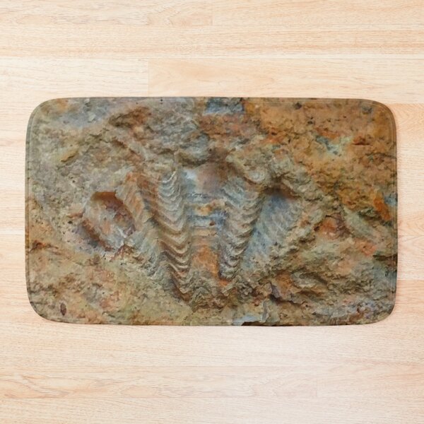 Item preview, Shell Fossil designed and sold by The Rage Garden.