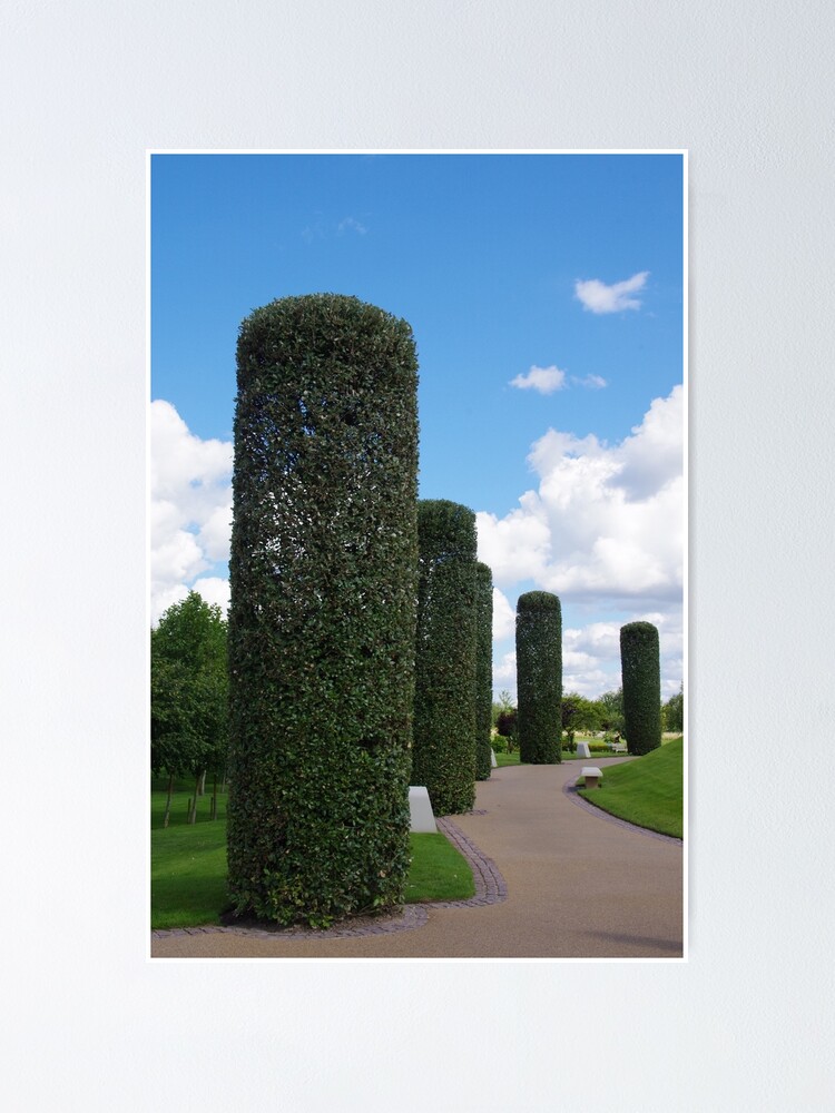 "Tree Pillars At The National Memorial Arboretum (Lichfield