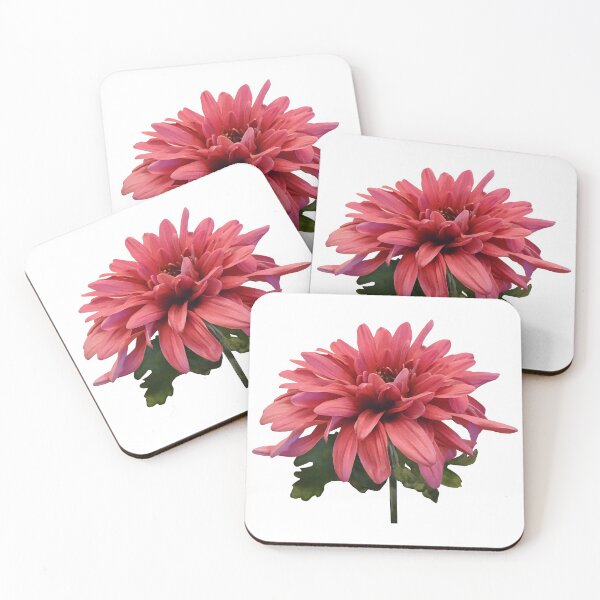 Item preview, Chrysanthemum Freeport designed and sold by Susan Savad.