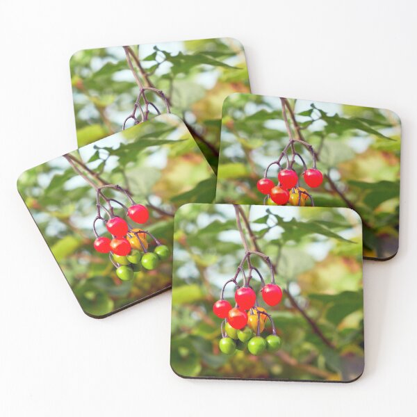Item preview, bittersweet (Solanum dulcamara) berries designed and sold by Hugh McKean.