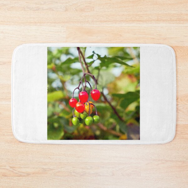 Item preview, bittersweet (Solanum dulcamara) berries designed and sold by Hugh McKean.