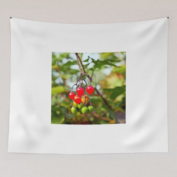 Item preview, bittersweet (Solanum dulcamara) berries designed and sold by Hugh McKean.