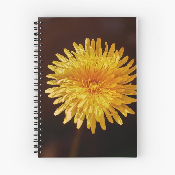 Item preview, Dandelion (Taraxacum officinale) flower designed and sold by Hugh McKean.