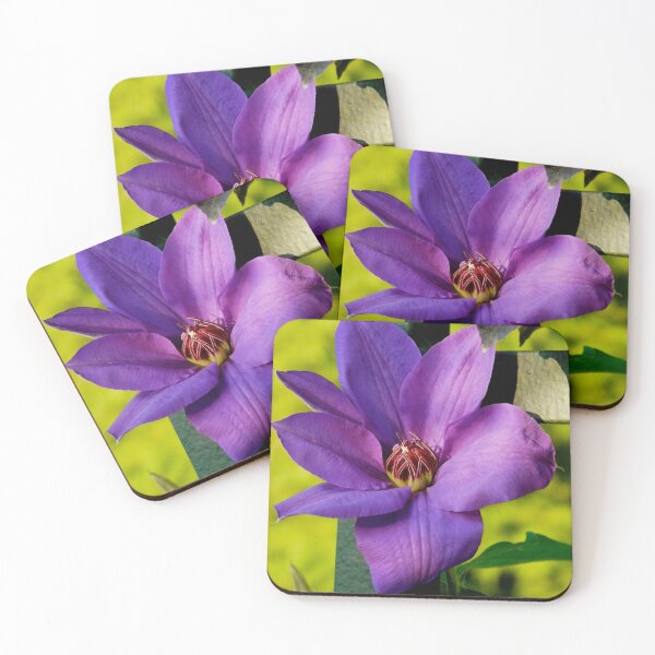 Item preview, Purple Clematis designed and sold by Amy Herrfurth.
