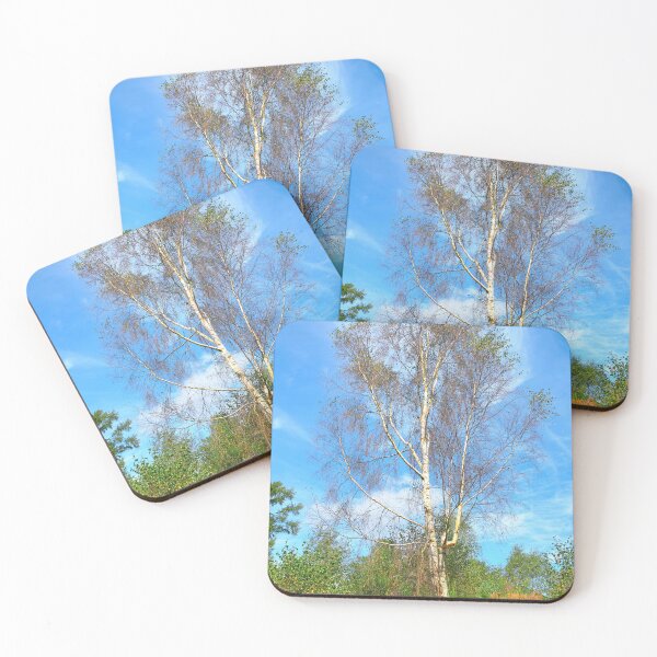 Item preview, Plant, Tree Silver birch, Betula pendula designed and sold by Hugh McKean.