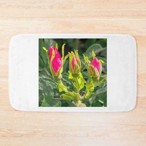 Item preview, Rosa rugosa flower buds designed and sold by Hugh McKean.