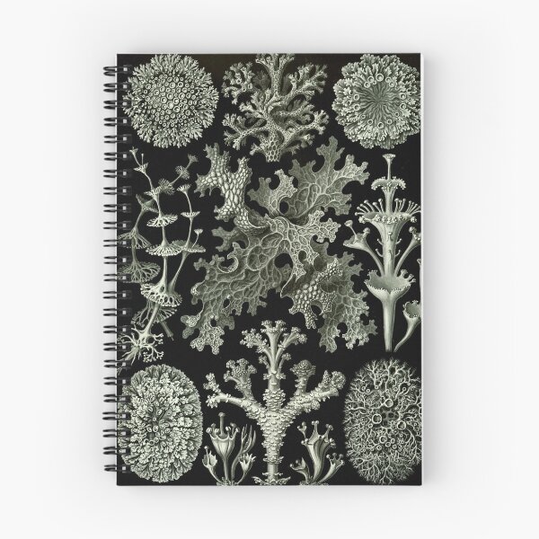 Item preview, Natural History Lichen designed and sold by BlueSpecsStudio.