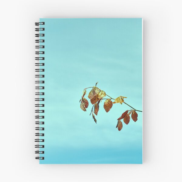 Item preview, Spring leaves of the Common Beech tree designed and sold by Hugh McKean.
