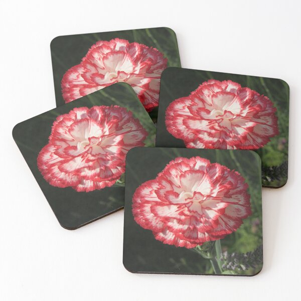 Item preview, Carnation designed and sold by lezvee.