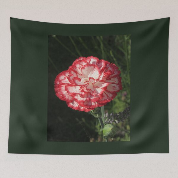Item preview, Carnation designed and sold by lezvee.