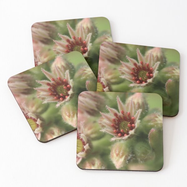 Item preview, GARDEN JOY designed and sold by karina5.