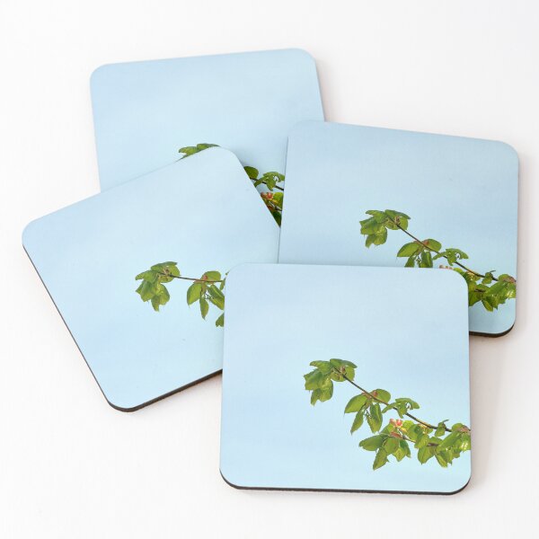 Item preview, Spring leaves of the Small-leaved Lime designed and sold by Hugh McKean.