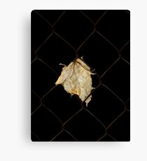 Prisoner Canvas Print