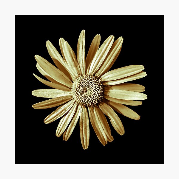 Dinged - yellow Photographic Print