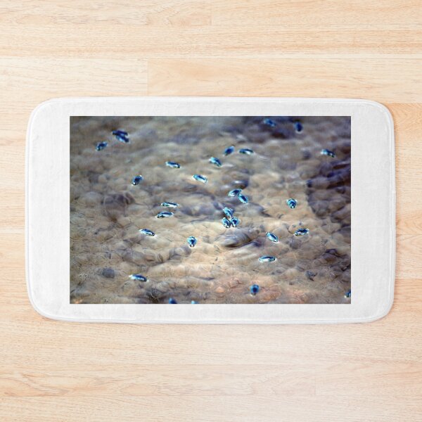 Item preview, water beetles designed and sold by Mandiluwho.