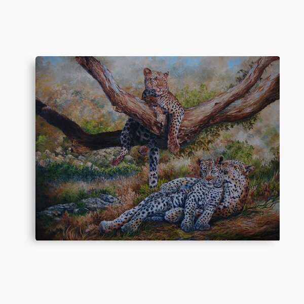Leopards taking a rest Canvas Print