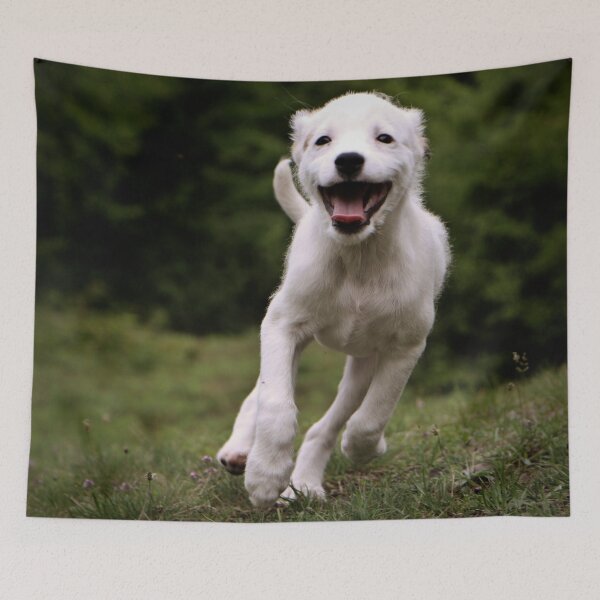 Item preview, Dog - street dog designed and sold by laura-S.