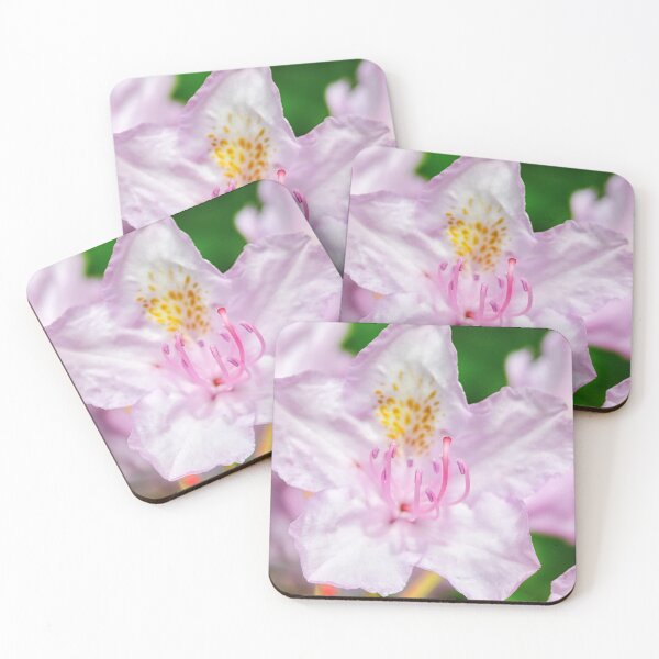 Item preview, Rhododendron Macro, Glamis Castle Gardens, Scotland, UK designed and sold by Yannik Hay.