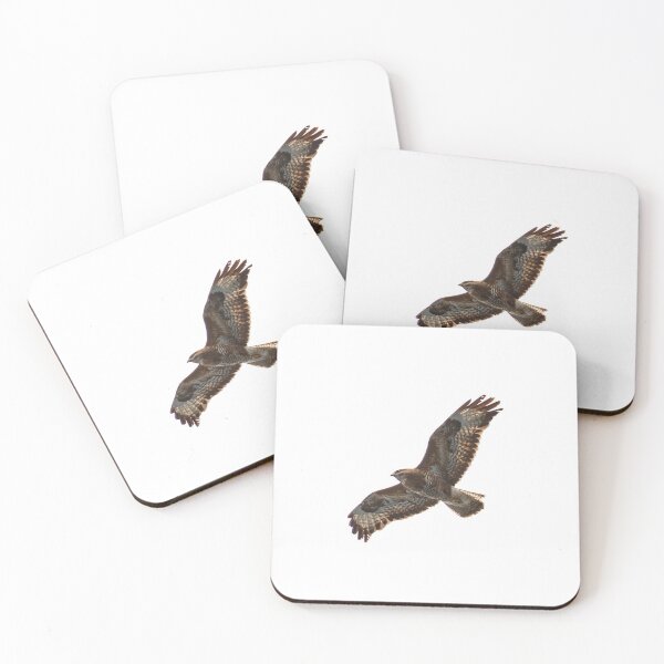 Item preview, Buzzard in flight designed and sold by peterwyatt.