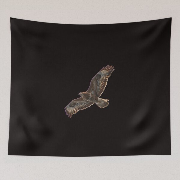 Item preview, Buzzard in flight designed and sold by peterwyatt.