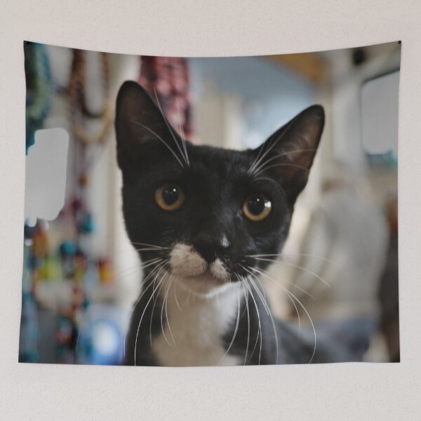 Item preview, cat designed and sold by laura-S.