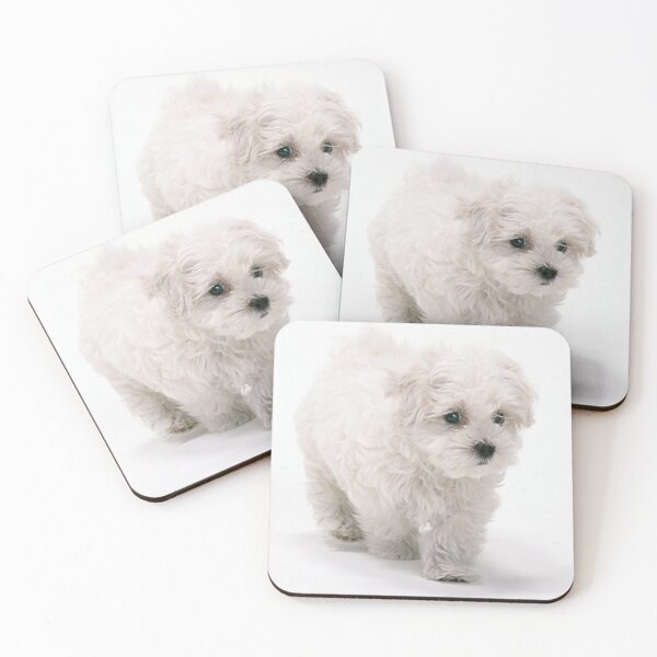 Item preview, Dog: Curly Bichon 52 - Design designed and sold by Dan-Barisi.