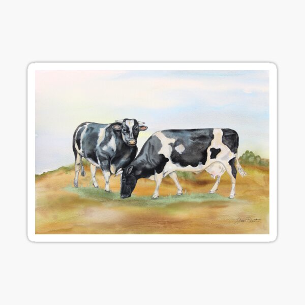 Farm Animals In The Pasture-Cows Sticker