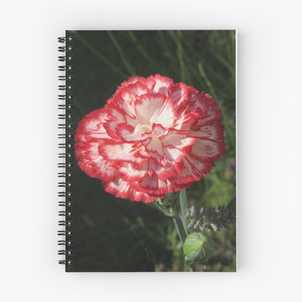 Item preview, Carnation designed and sold by lezvee.