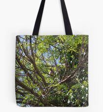 Wattle Bird Tote Bag