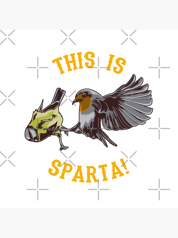 Meme This Sparta Funny Bird Memes Stock Photo 1425107042