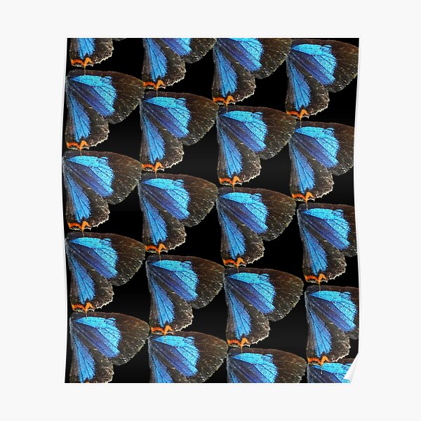 Butterfly wings-abstract pattern 3 Poster
