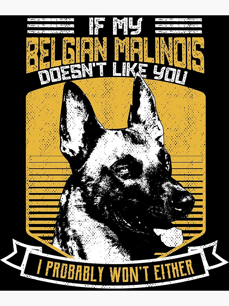 Dog Lovers print Belgian Malinois Owner Gift product Poster