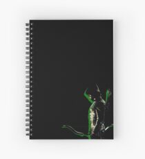 Green Arrow Spiral Notebook
