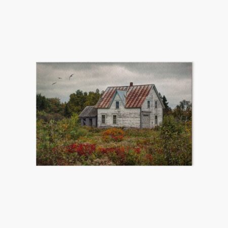 No One Home | New Brunswick Art Board Print