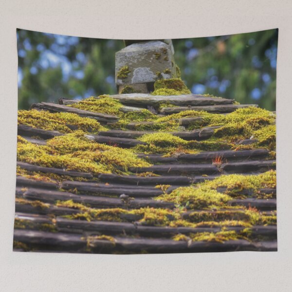 Item preview, Moss on Gazebo Roof Close-up, Italian Gardens, Glamis Castle, Scotland designed and sold by Yannik Hay.