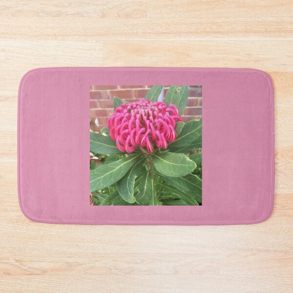Item preview, Australian Waratah  designed and sold by MaureenBoyle.