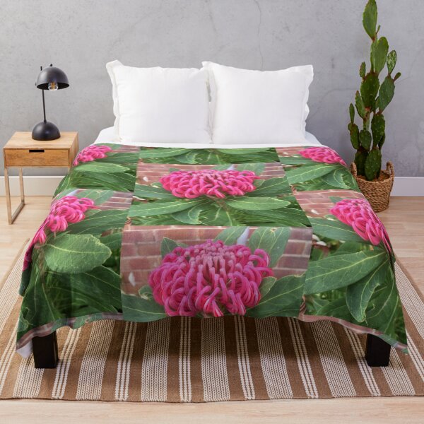 Item preview, Australian Waratah designed and sold by MaureenBoyle.